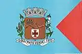 Bandeira de Mato Verde