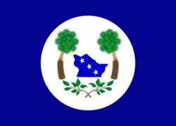 Bandeira de Tabuleiro do Norte