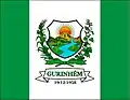 Bandeira de Gurinhém