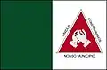 Bandeira de Alpinópolis