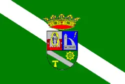 Bandeira de Navalvillar de Pela