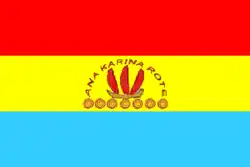 Bandeira de Los Teques