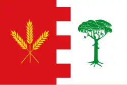 Bandeira de Ataquines