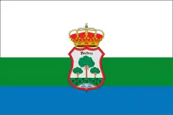 Bandeira de Baños de Valdearados