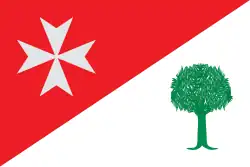 Bandeira de Binaced