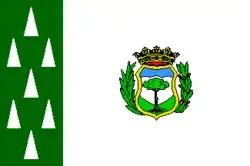 Bandeira de Cercedilla