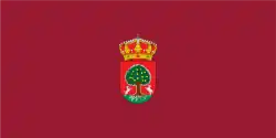 Bandeira de Cuevas del Valle