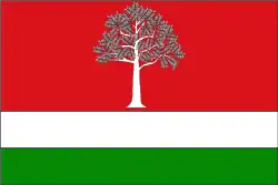 Bandeira de El Fresno