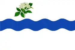 Bandeira de Fuentesaúco de Fuentidueña