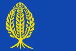 Bandeira de La Mata de los Olmos