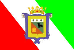 Bandeira de La Pedraja de Portillo