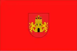 Bandeira de Miranda de Arga