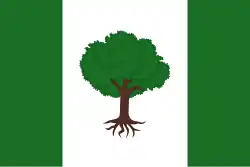 Bandeira de Olivares de Júcar