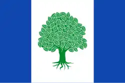 Bandeira de Olmeda de Cobeta