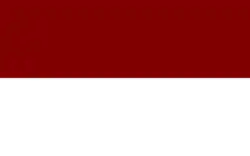 Bandeira de Pedro Muñoz