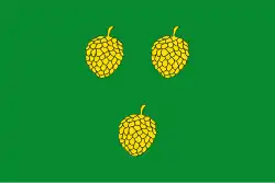 Bandeira de Pinell de Solsonès