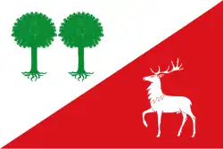 Bandeira de Robleda-Cervantes
