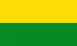 Bandeira de San Carlos