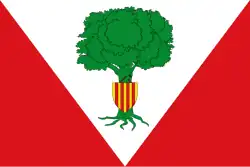 Bandeira de Santed