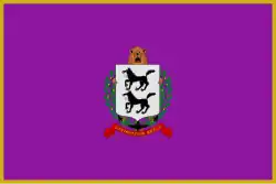 Bandeira de Santurce