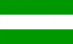 Bandeira de Tarapoto