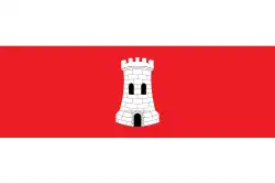 Bandeira de Viacamp y Litera