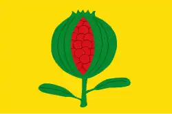 Bandeira de La Granada