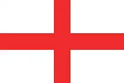 Bandeira de La Almunia de Doña Godina