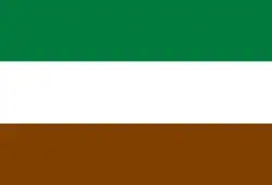 Bandeira de Puerto Suárez