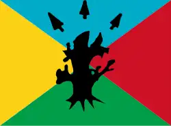 Bandeira de Palo Negro