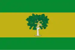 Bandeira de Higueras
