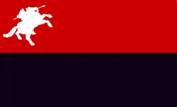 Bandeira de San Miguel de Acarigua