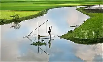 Bangladesh Fishing 2006.jpg
