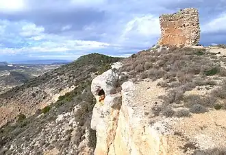 Castelo da Estaca, na Bardena Negra