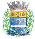 Brasão de armas de Barueri