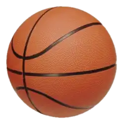 Bola de basquetebol