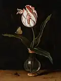 Vaso com Tulipa, 1625, Mauritshuis, The Hague.