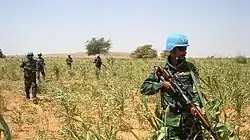 Soldados de infantaria do exército.