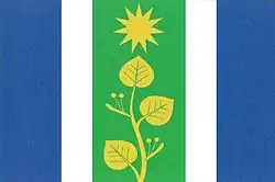 Bandeira de Bechlín