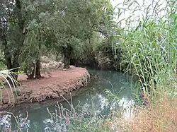 Beira do rio Lis, Alqueidão (Cortes)