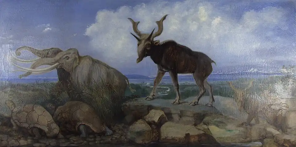 Fauna Pleistoceno da Ásia, encomendado em 1876