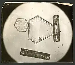 Micrografia de Wilson Bentley mostrando duas classes de flocos de neve: placa e coluna.