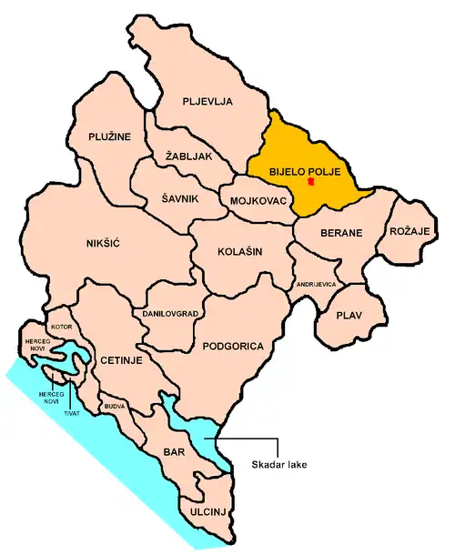 Localização de Bijelo Polje