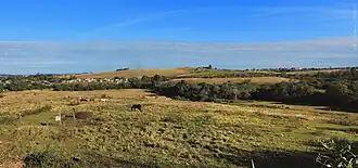 Paisagem típica do bioma pampa no bairro caturrita.