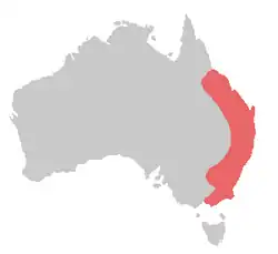 Área de distribuição da cacatua-preta-brilhante (em vermelho)