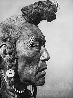 Bear Bull (Urso Búfalo) (Blackfoot)