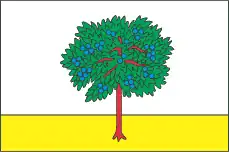 Bandeira de Bohodukhiv