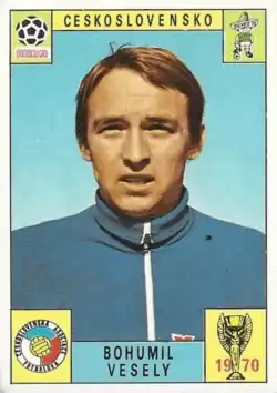 Bohumil Veselý