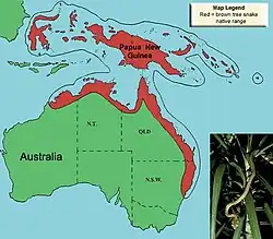 Distribuição da cobra-arbórea-marrom