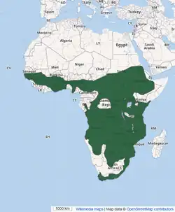 Distribuição da Boomslang